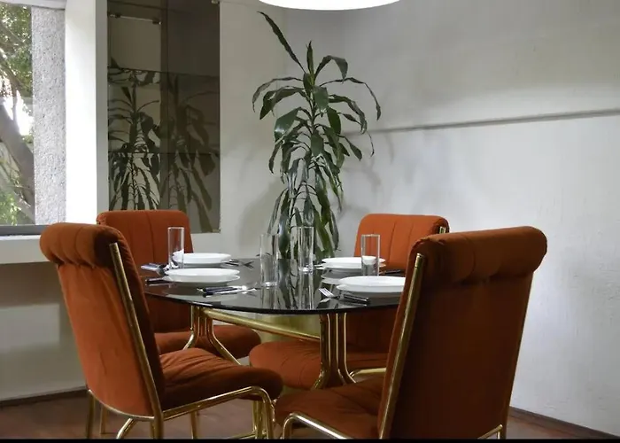 Unbeatable Location In The Heart Of Juarez