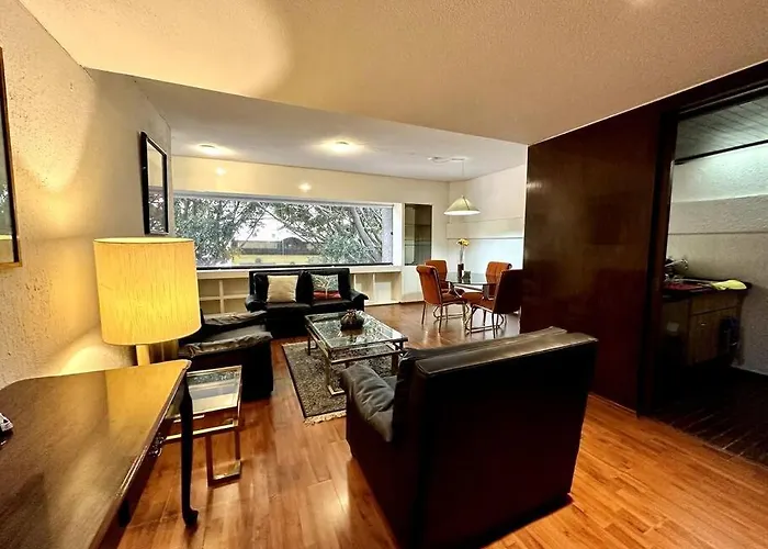 Unbeatable Location In The Heart Of Juarez